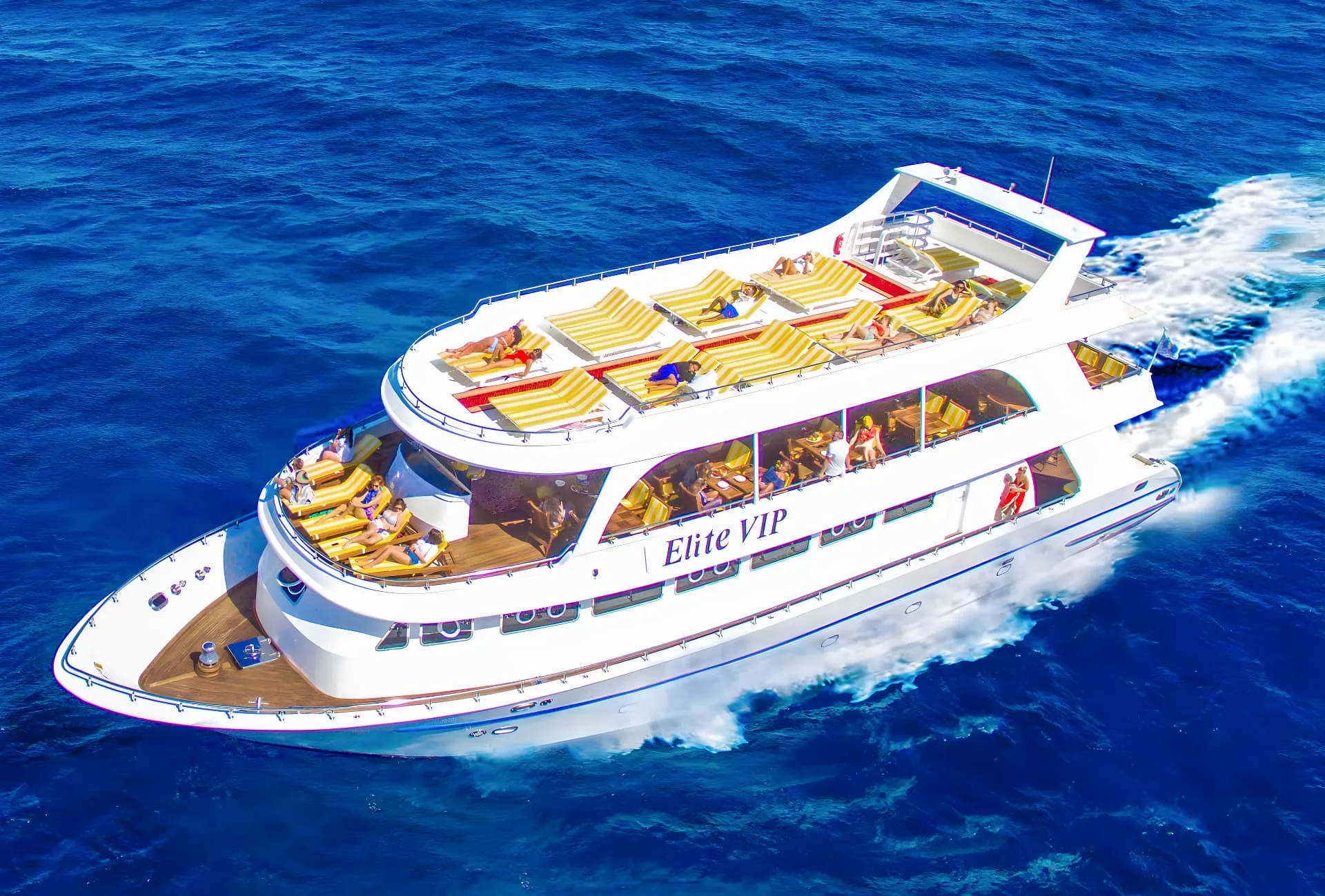 Elite VIP-cruise med delfiner og snorkling