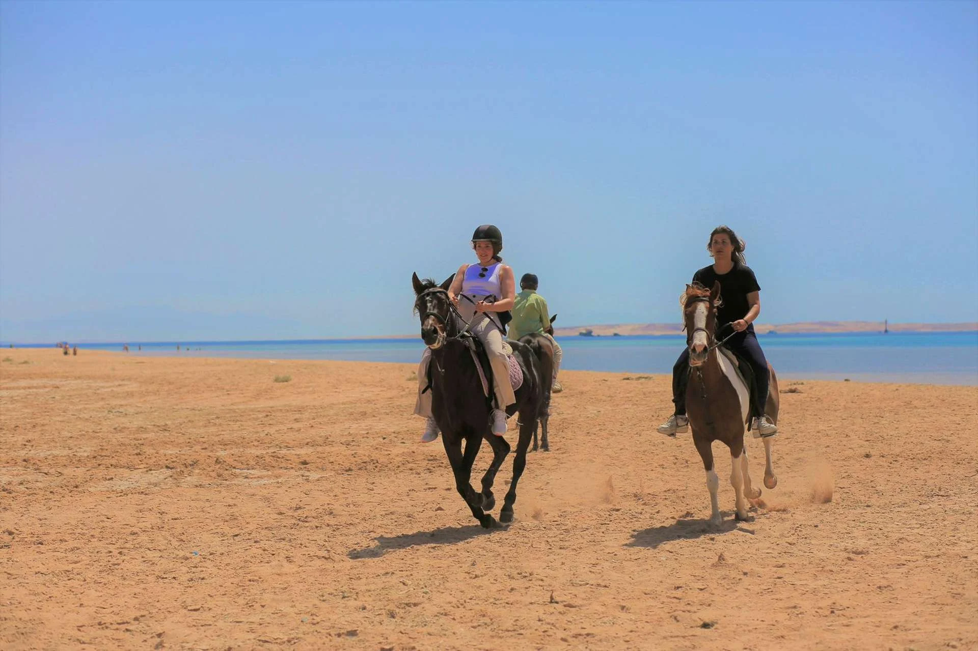 Ridning og svømning i Hurghada - 2 timer