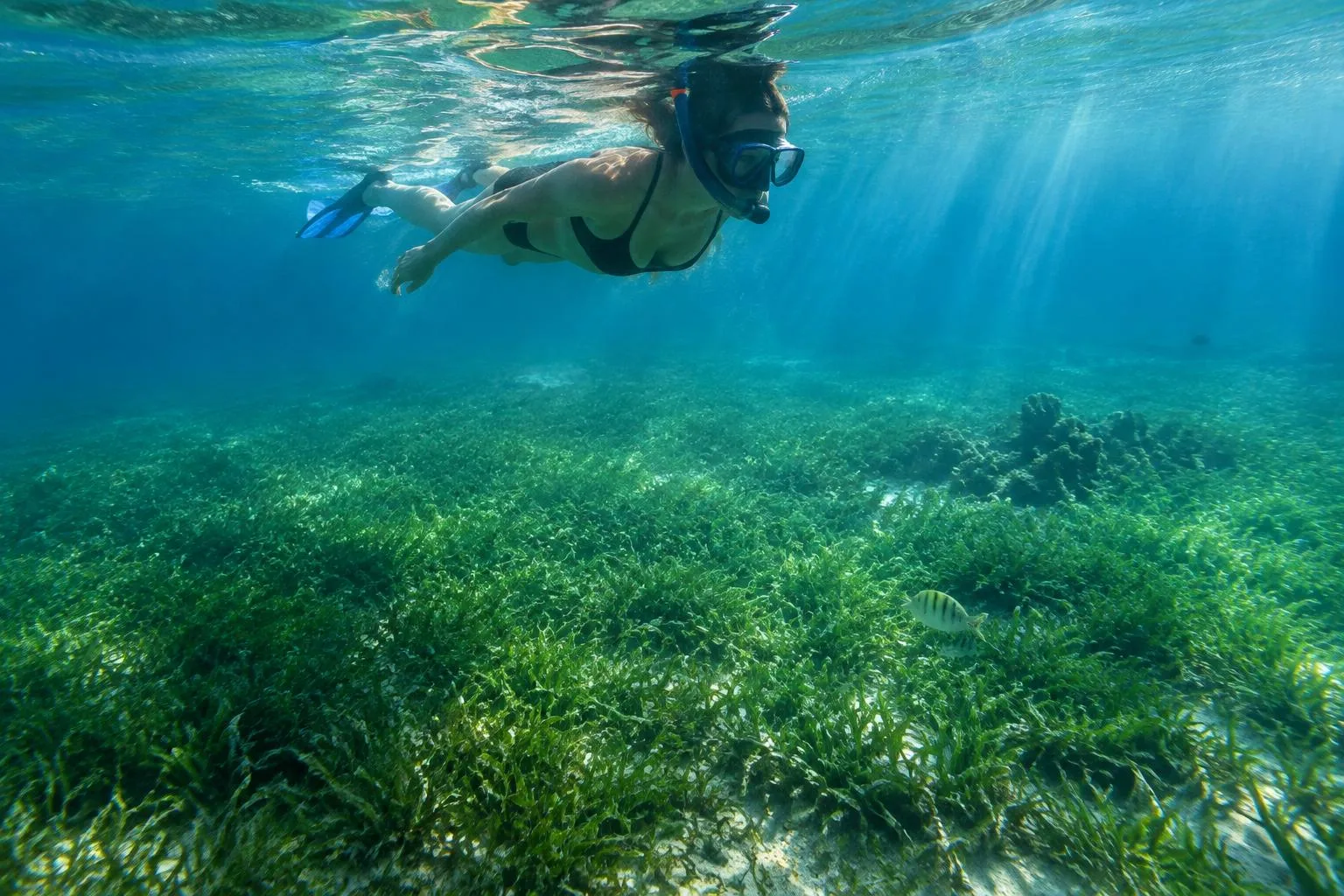 Marsa Mubarak Elite VIP Luxe Snorkeltocht