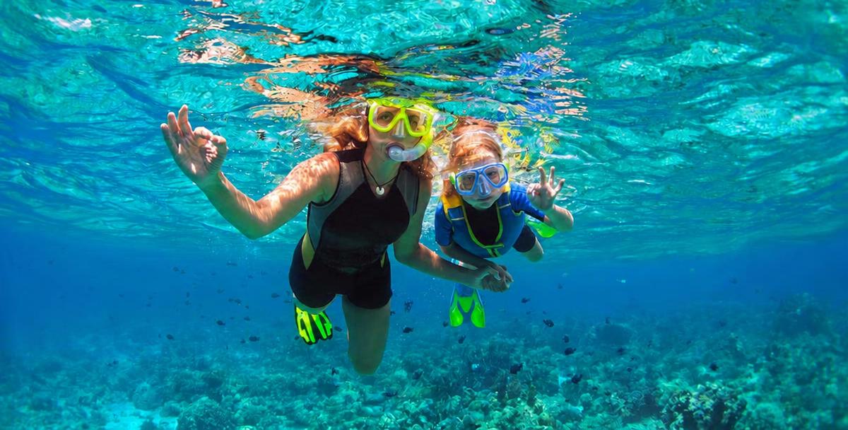 Dolphin House: Bådtur med delfiner og snorkling ved koralrev