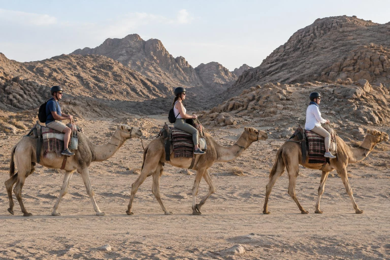 Pferde- oder Kamelreiten in Hurghada - 2 Stunden