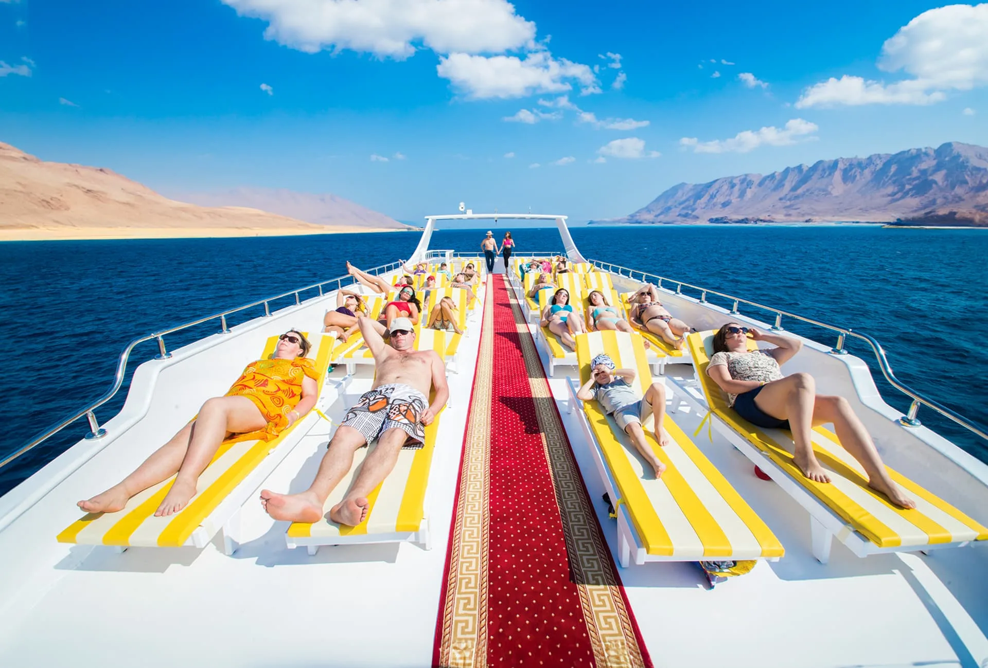 Elite VIP-cruise med delfiner og snorkling