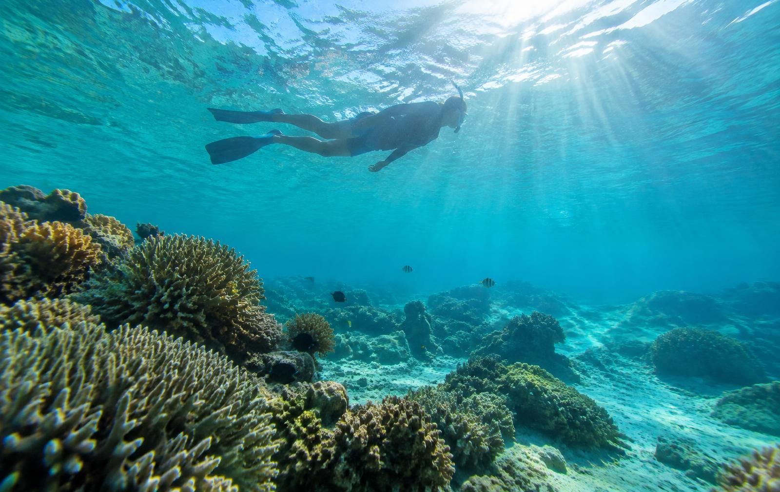 Giftun Island Snorkeltrip