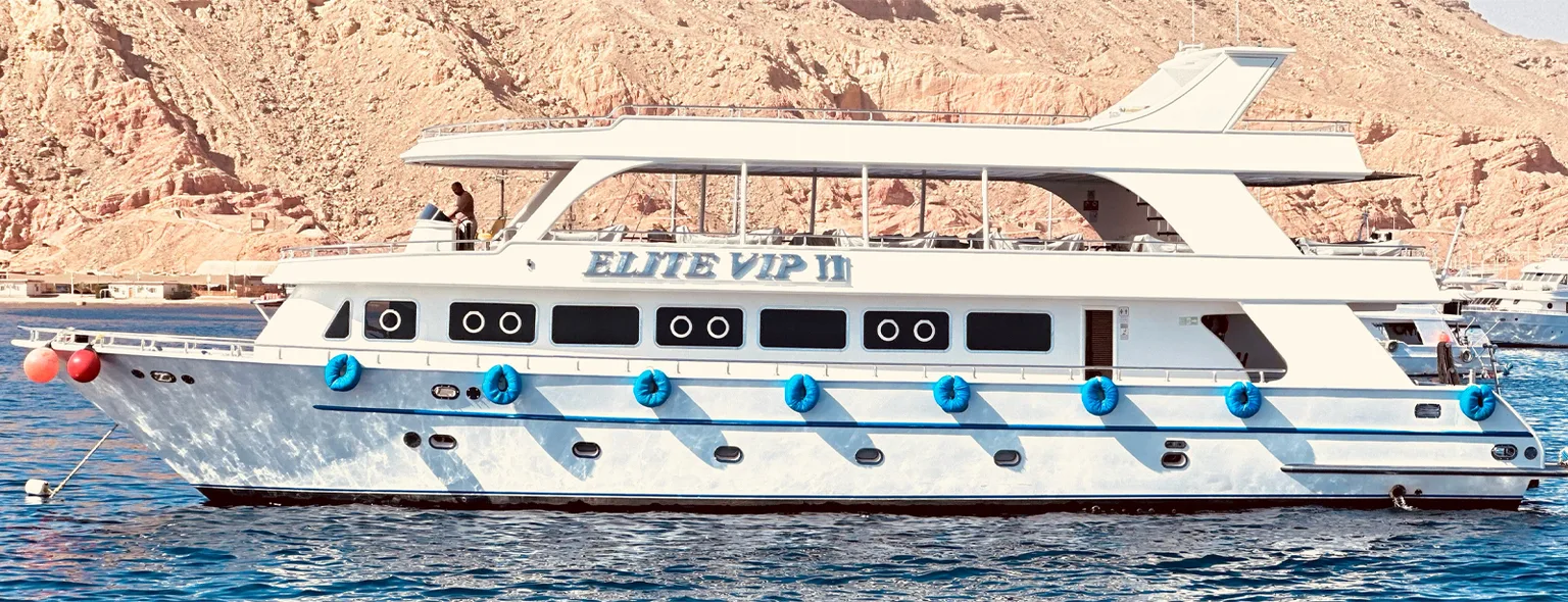 Elite VIP-cruise med delfiner og snorkling