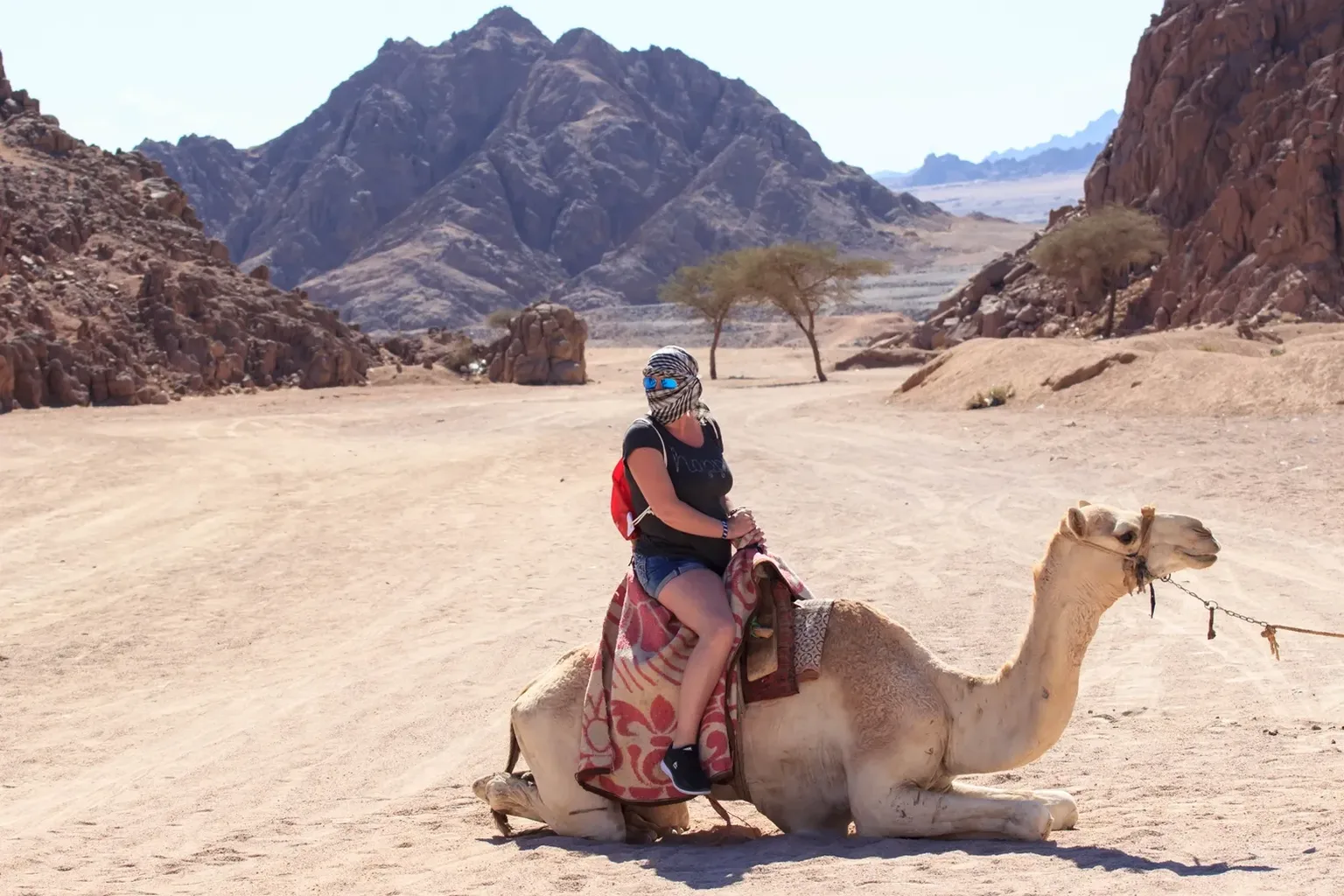Pferde- oder Kamelreiten in Hurghada - 2 Stunden