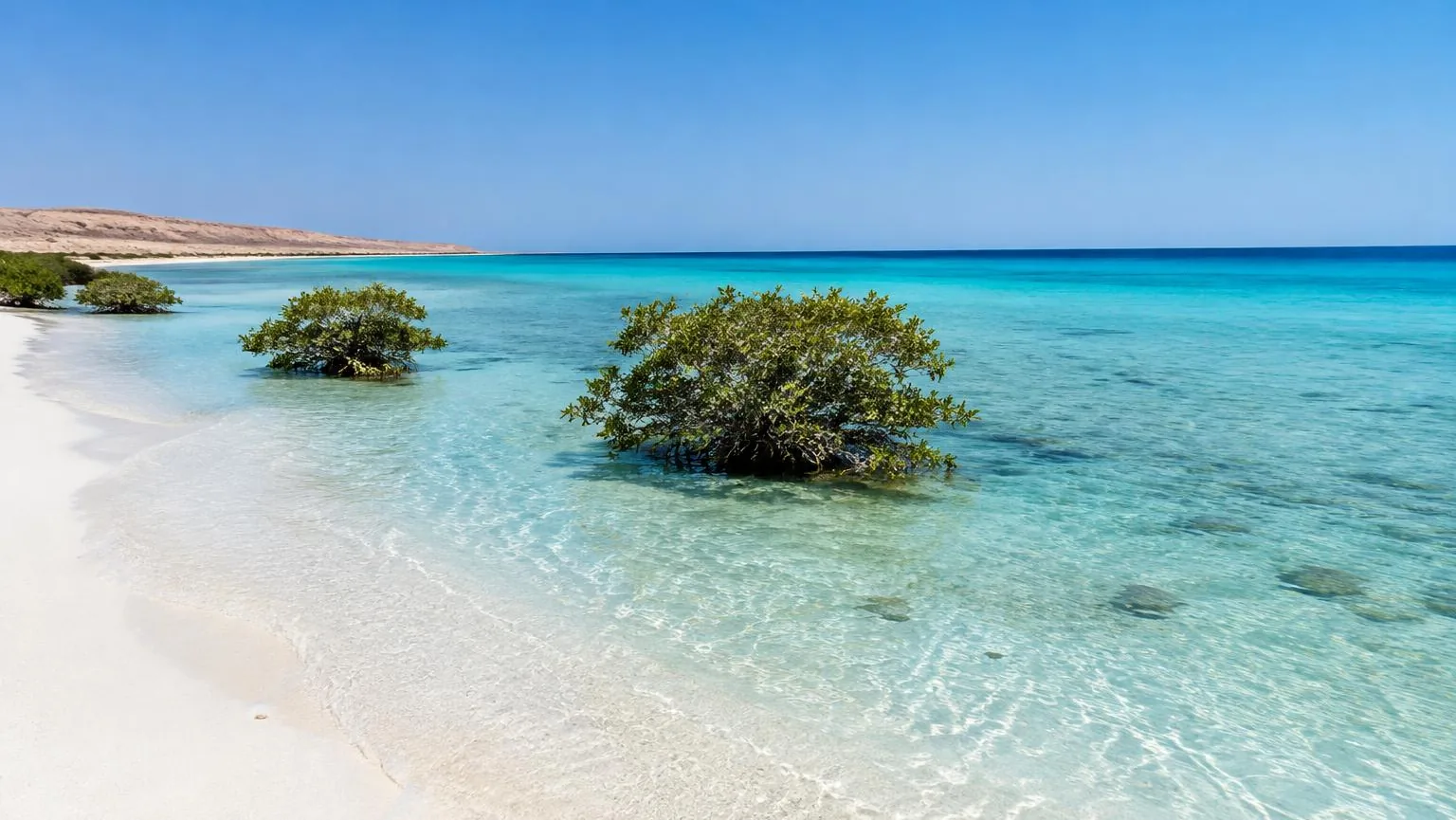 Halvdagsoplevelse ved Sharm El Luli: Strand og snorkling